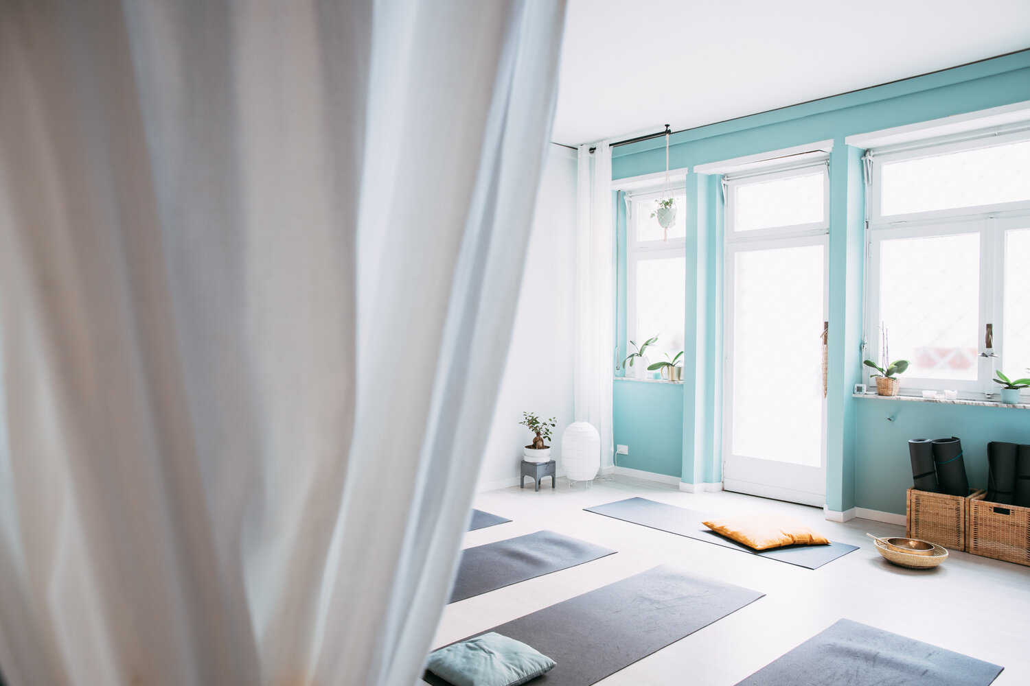 Yoga Crocetta Torino: Semi di Yug.