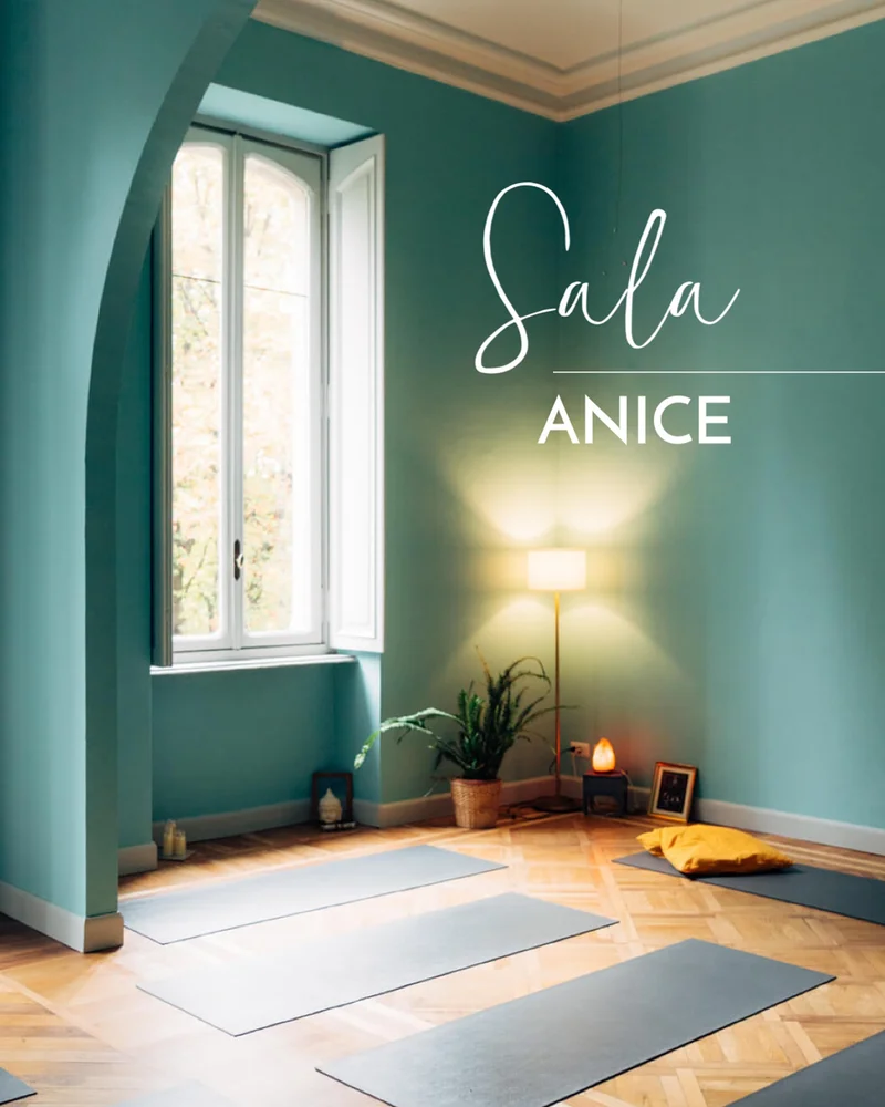 Yoga Torino Crocetta. Sala Yoga Anice a Torino.